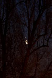 Księżyc&Wenus raz jeszcze