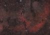 Mgławica Trąba Słonia (vdB 142) IC 1396