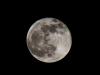 Księżyc (Pełnia) 25.03.2024
